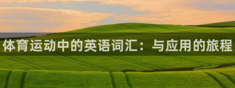 尊龙官方正版app五金厂:体育运动中的英语词汇:与应用的旅程