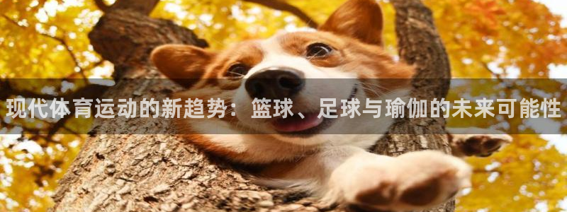 尊龙官网下载平台是正规平台吗知乎:现代体育运动的新趋势:篮球