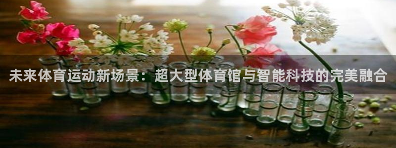 尊龙官网下载招商电话是多少啊:未来体育运动新场景:超大型体育
