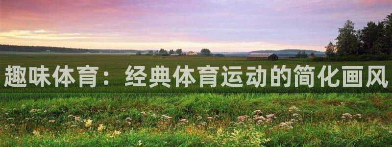 尊龙官方正版app神州:趣味体育:经典体育运动的简化画风