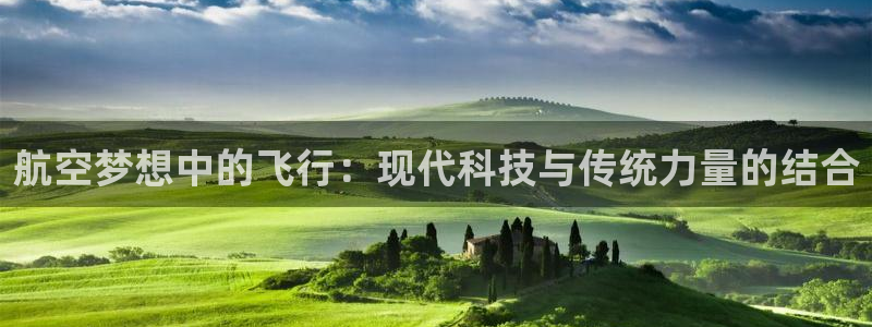 尊龙官方正版app集团简介:航空梦想中的飞行:现代科技与传统