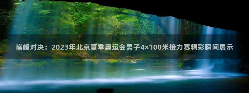 尊龙官方正版app集团logo:巅峰对决:2023年北京夏季